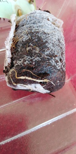 17430887485923117110407245579077