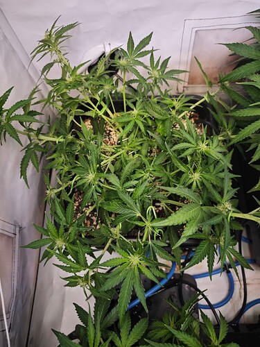 MVIMG_20251020_203853