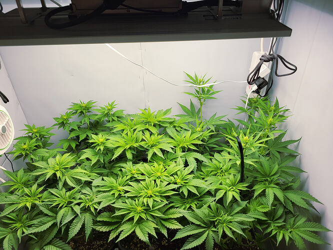 Growreport Bild 11