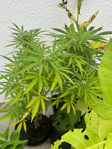 Growreport Bild 13
