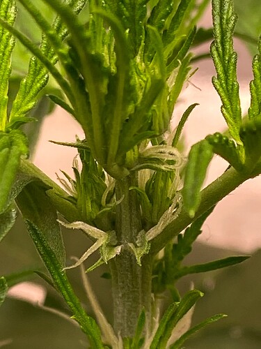 Growreport Bild 14