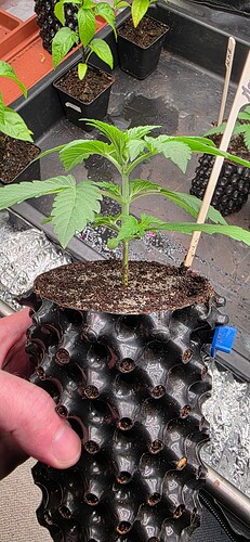 Growreport Bild 12