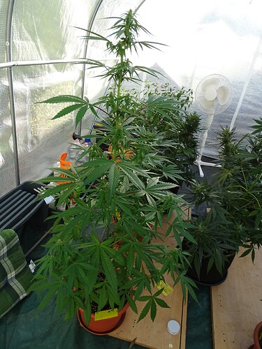 Growreport Bild 36