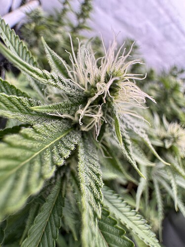 Growreport Bild 18