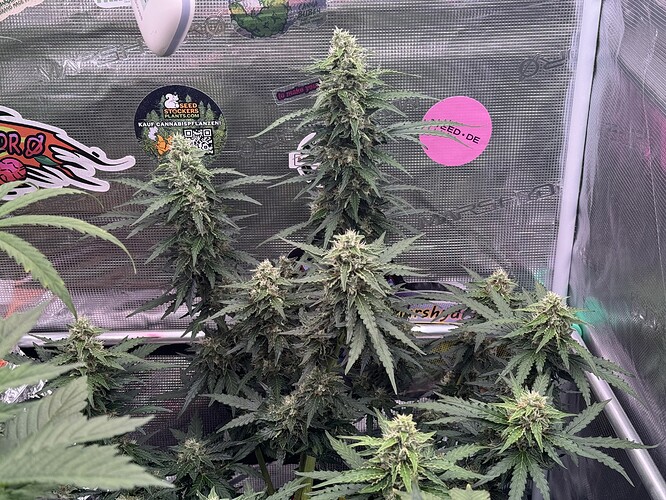 Growreport Bild 11