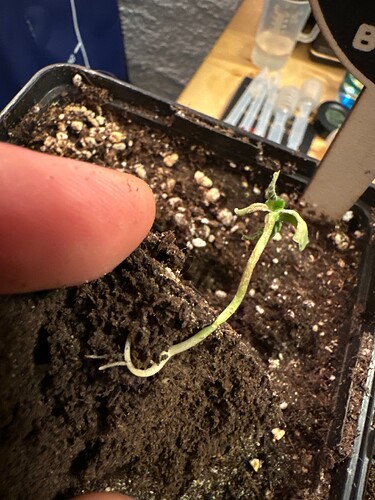 Growreport Bild 5
