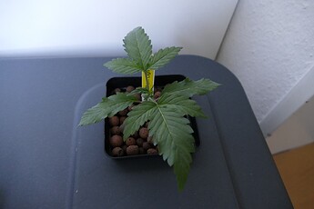 NL2_A_KT14_2