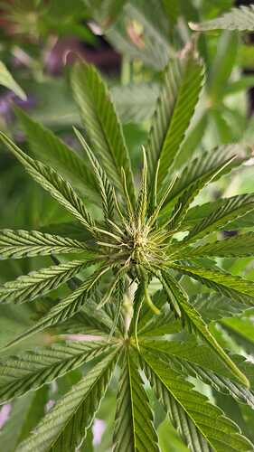 Growreport Bild 18