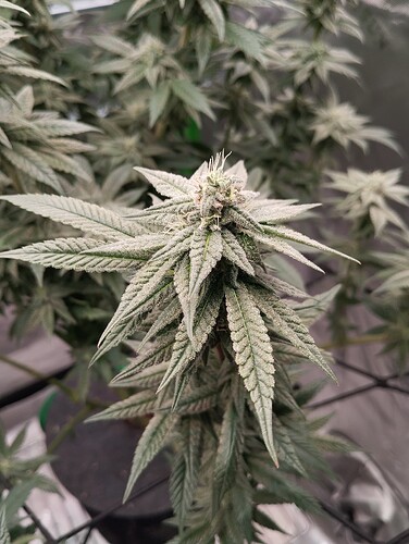 Growreport Bild 14