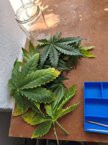 IMG_20260509_144557