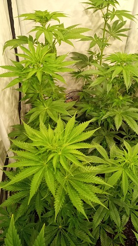 Growreport Bild 10