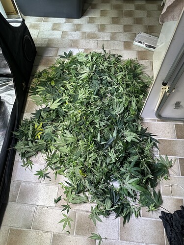 Growreport Bild 46