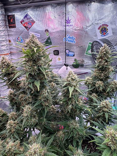 Growreport Bild 13