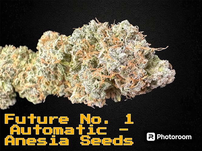 Growreport Bild 4