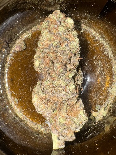 Growreport Bild 50