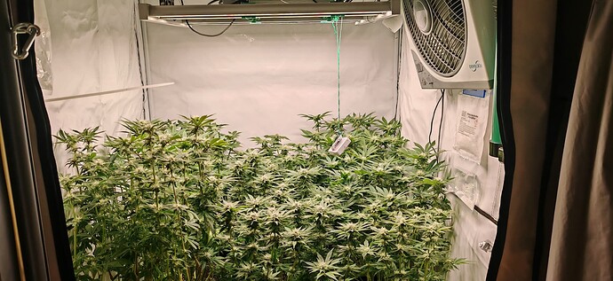 Growreport Bild 2