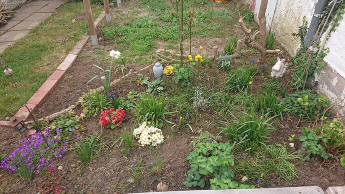 Growreport Bild 5