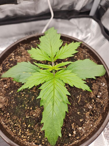 Growreport Bild 11