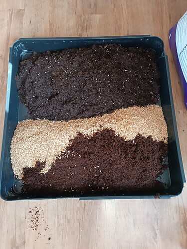Growreport Bild 9