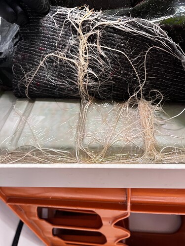 Growreport Bild 14