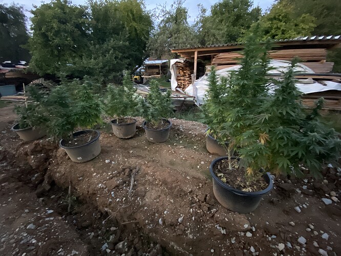 Growreport Bild 2
