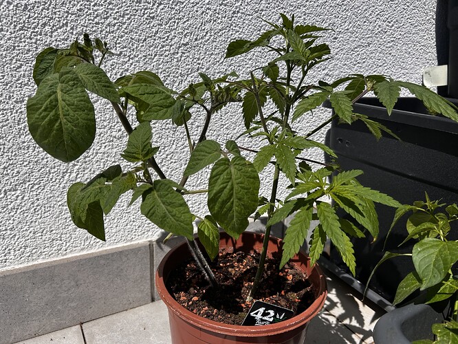 Growreport Bild 12