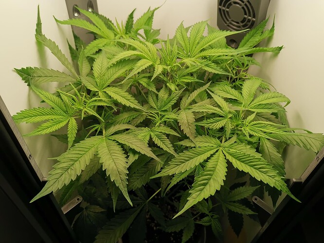 Growreport Bild 16