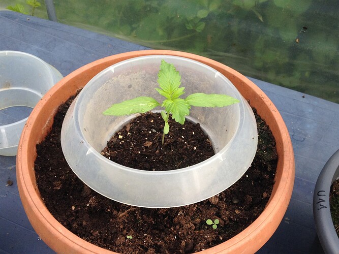 Growreport Bild 17