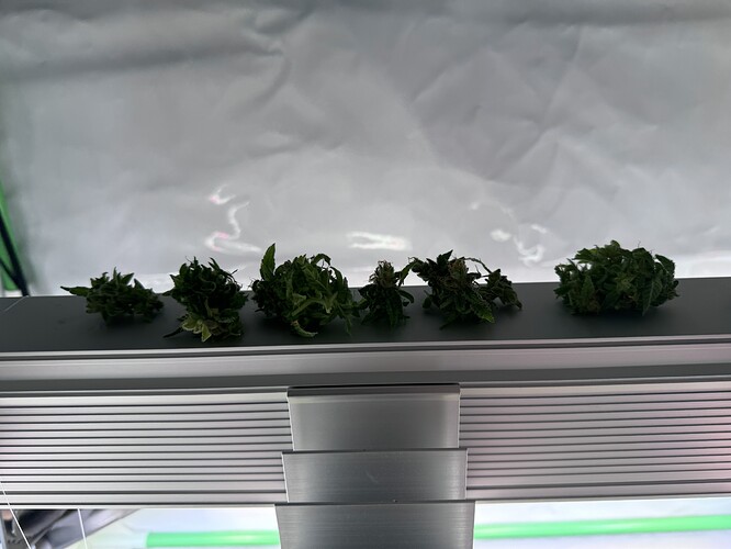 Growreport Bild 30