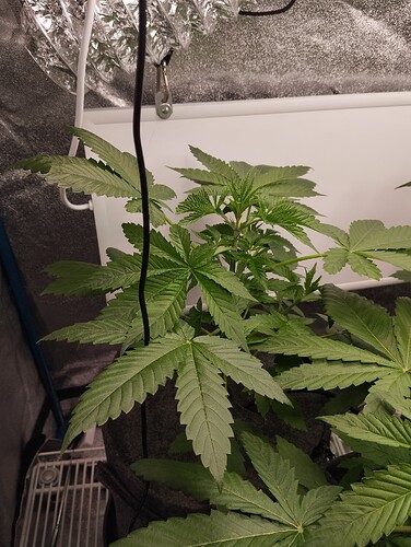 Growreport Bild 11