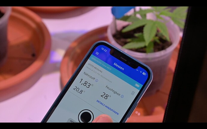 Screenshot 2024-12-25 at 13.13.00