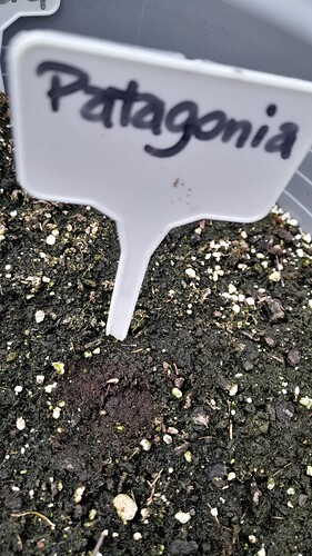 Growreport Bild 15