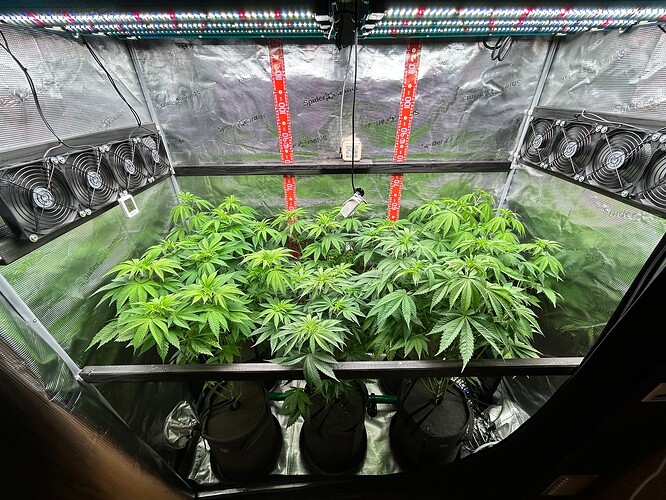 Growreport Bild 8