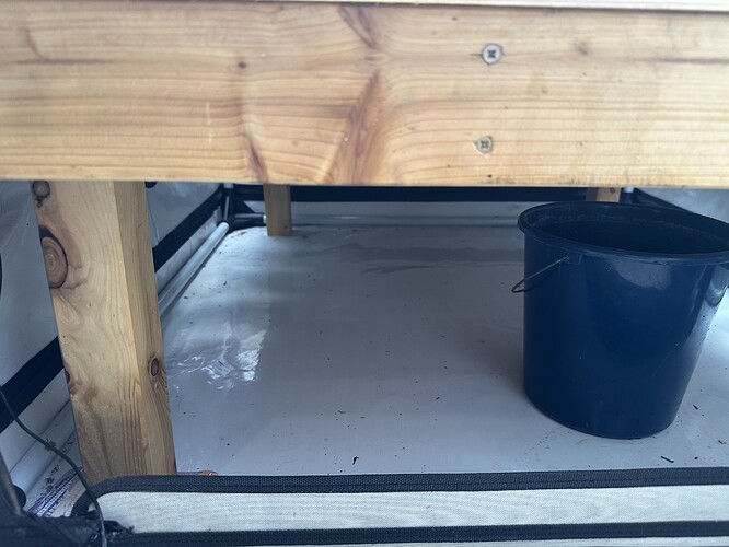 Growreport Bild 3