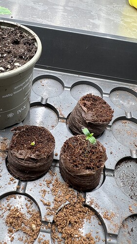 Growreport Bild 10
