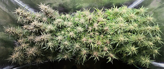 Growreport Bild 18