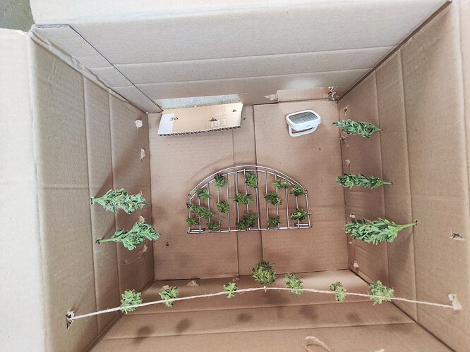 Growreport Bild 16