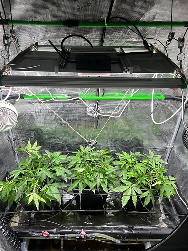 Growreport Bild 29