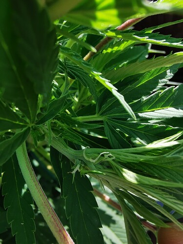 Growreport Bild 2