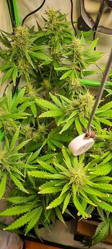 WhatsApp Image 2024-06-24 at 19.22.06 (1)