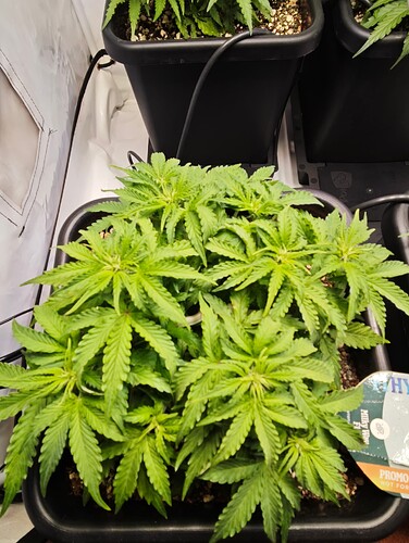 MVIMG_20251015_213359