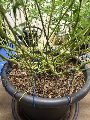 Growreport Bild 13