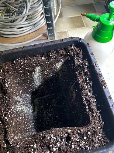 Growreport Bild 49