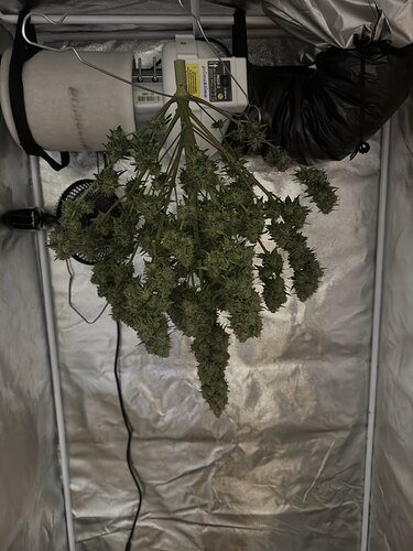 signal-2024-08-23-211030_002