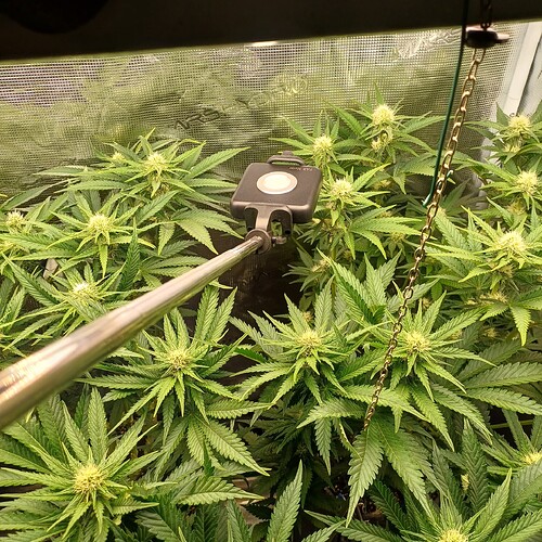 Growreport Bild 21