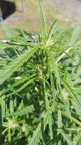 Growreport Bild 11