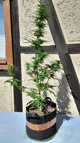 Growreport Bild 22