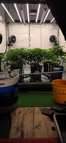 Growreport Bild 68