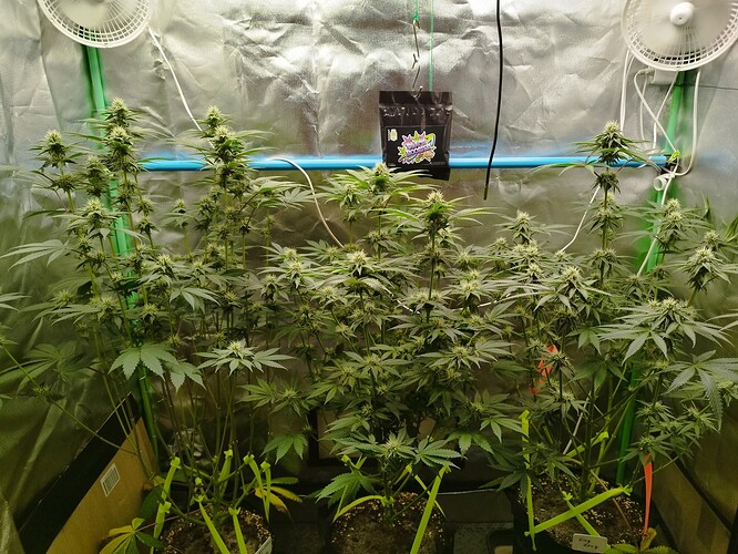 Growreport Bild 7