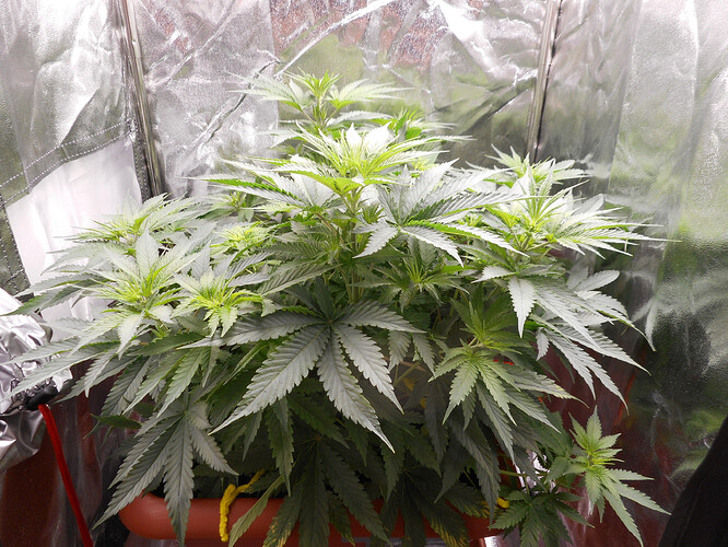 DSCN4755